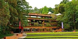 Universidad Francisco Marroquín